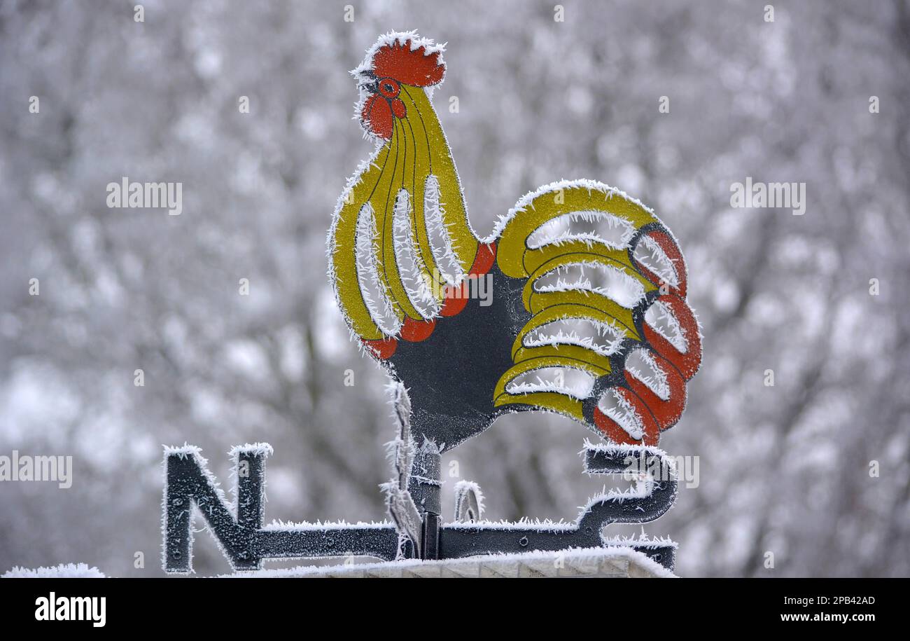 Weathercock with hoarfrost Stock Photo