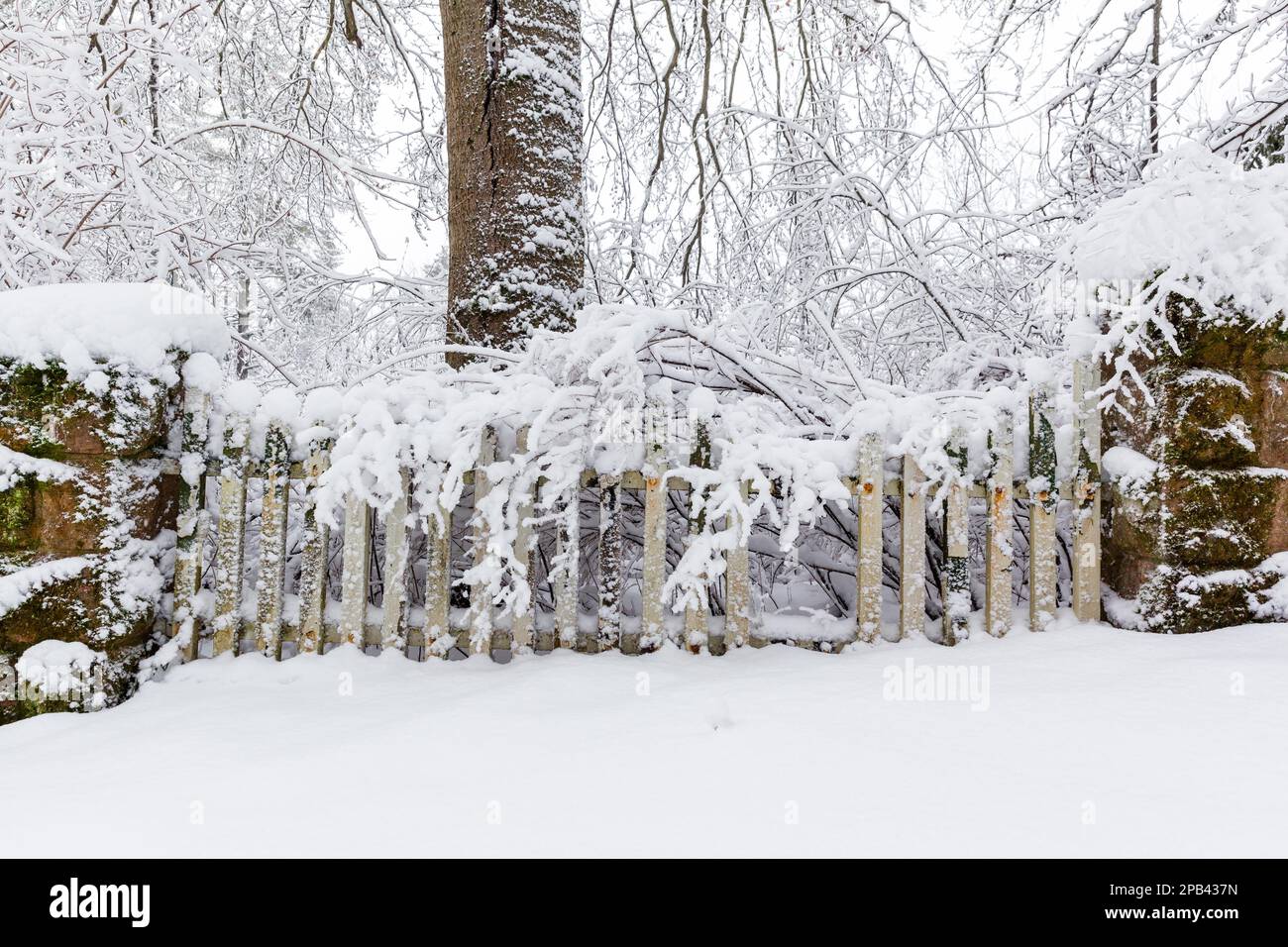 Old picket fence in winter Stock Photo