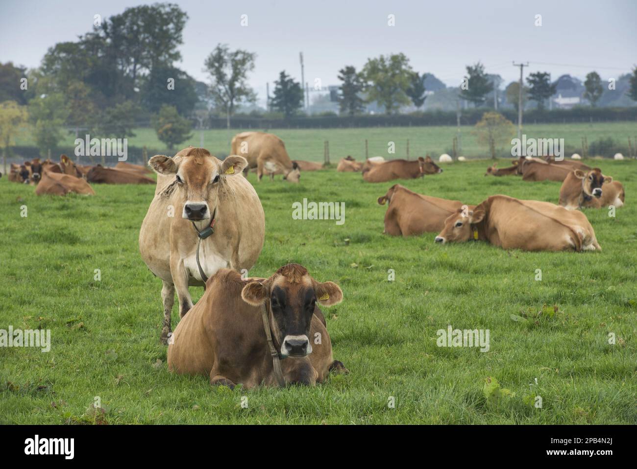 Jersey channel island autumn hi-res stock photography and images - Alamy