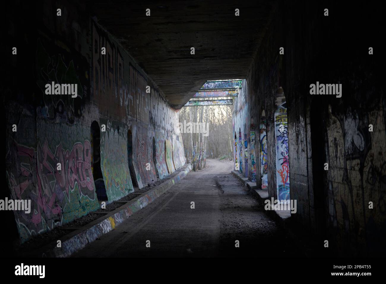 Graffiti, Schöneberger Südgelände nature Park, Prellerweg, Schöneberg, Berlin, Germany, Europe Stock Photo