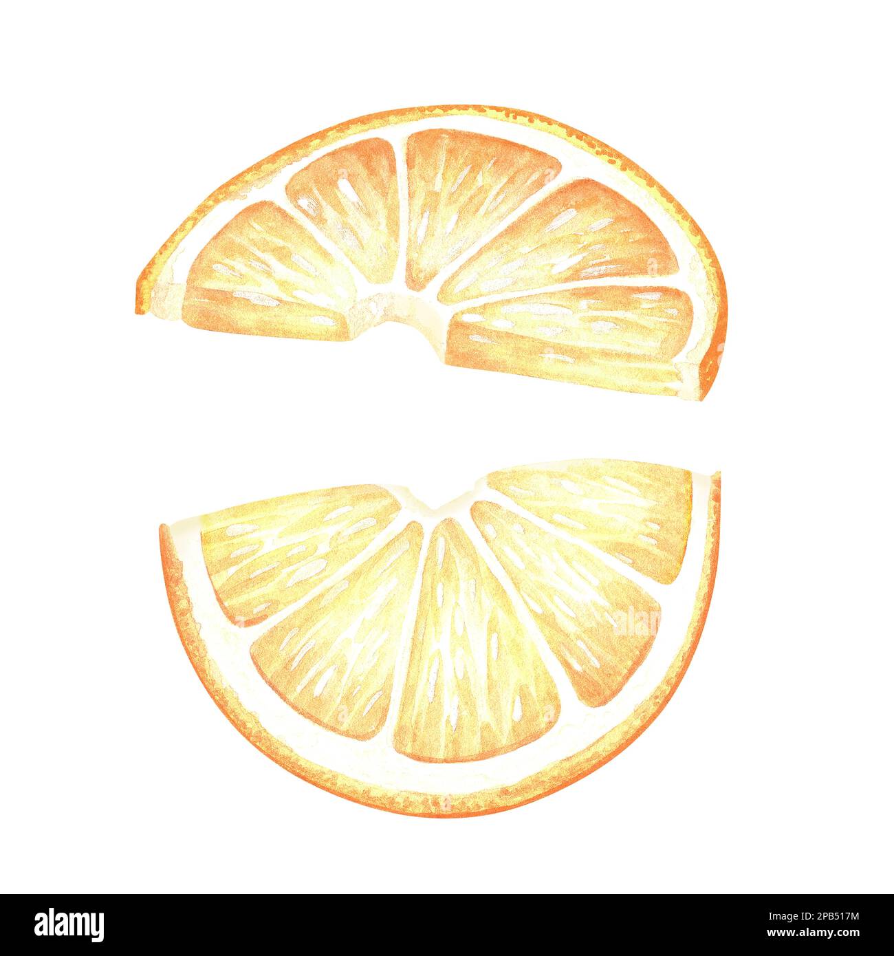 Two semicircular lemon slices. Watercolor illustration. Isolated on a white background. For your design stickers, nature prints, product packaging wit Stock Photo