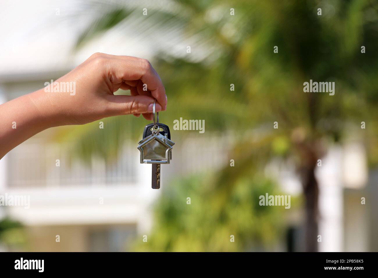 Real estate agent, home keys in female hand on background of house surrounded by palm trees. Buying or rental villa on ocean coast Stock Photo