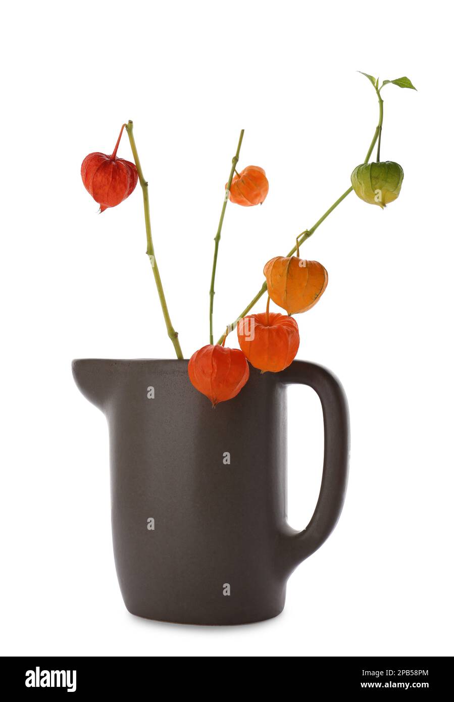 Physalis branches in jug on white background Stock Photo