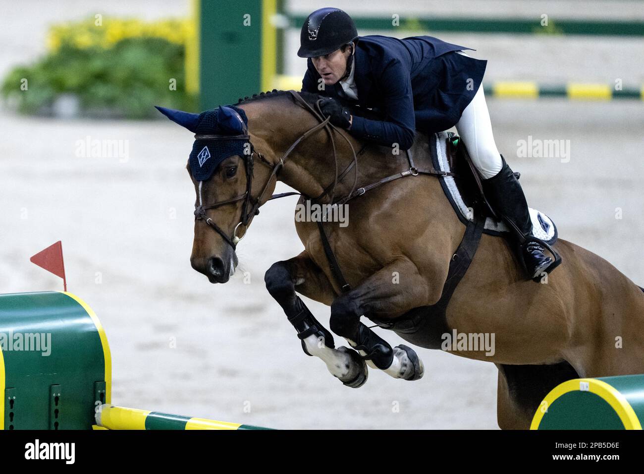 DEN BOSCH - Winner McLain Ward (USA) on HH Azur in action during the world cup show jumping, during The Dutch Masters Indoor Brabant Horse Show. ANP SANDER KONING netherlands out - belgium out Stock Photo