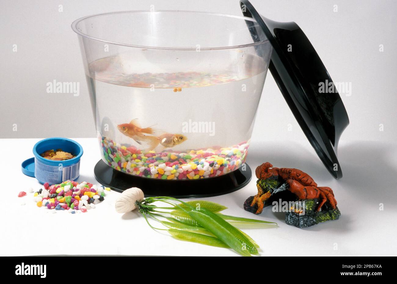 pet goldfish equipment Stock Photo Alamy
