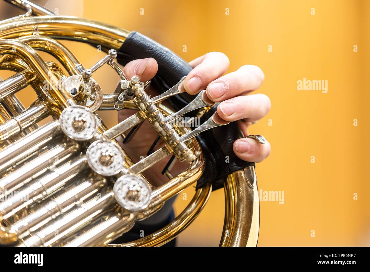 French horn instrument, hands playing horn player in philharmonic
