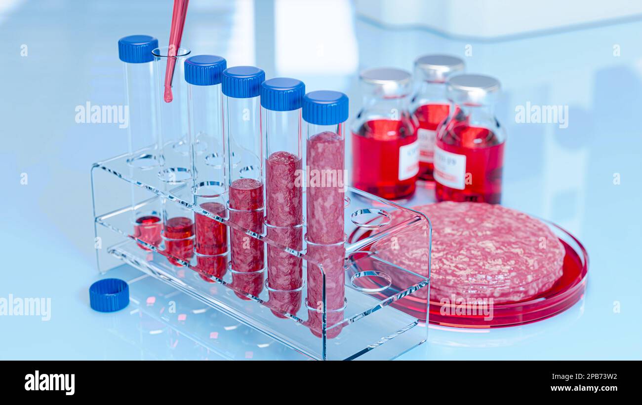 Beef grown in a laboratory in test tubes. The concept of invitro meat