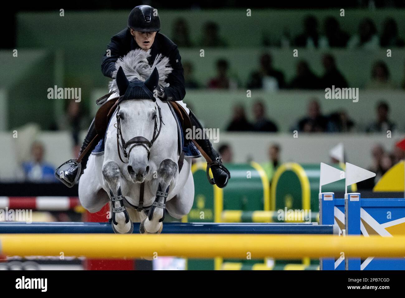 DEN BOSCH - Lars Kersten (NED) on Hallilea in action during the World Cup show jumping, during The Dutch Masters Indoor Brabant Horse Show. ANP SANDER KONING netherlands out - belgium out Stock Photo