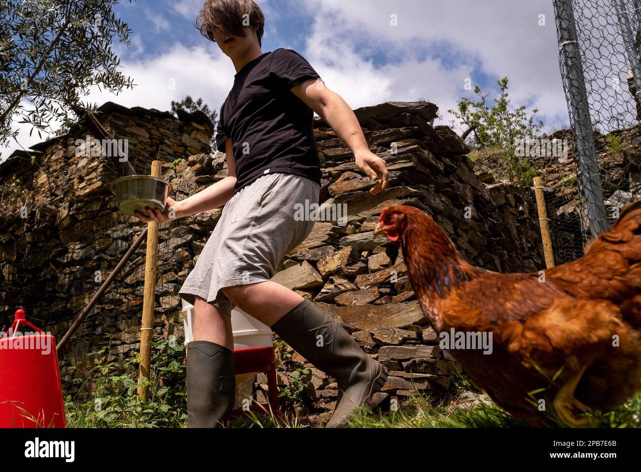 People feeding hens at the eco-village of Loural in the mountains of central Portugal. Here, the Klein family and their partners have been working on an ambitious project to rehabilitate a small village that has been abandoned since the year 2000 into an eco-location. On 30 hectares, the aim is to improve the ecosystem by practicing organic agriculture, reforestation and the production of green energy. The small stone village is moving towards food and energy autonomy and its vegetation is gradually coming back to life. The place is starting to provide integrative health training and artistic Stock Photo