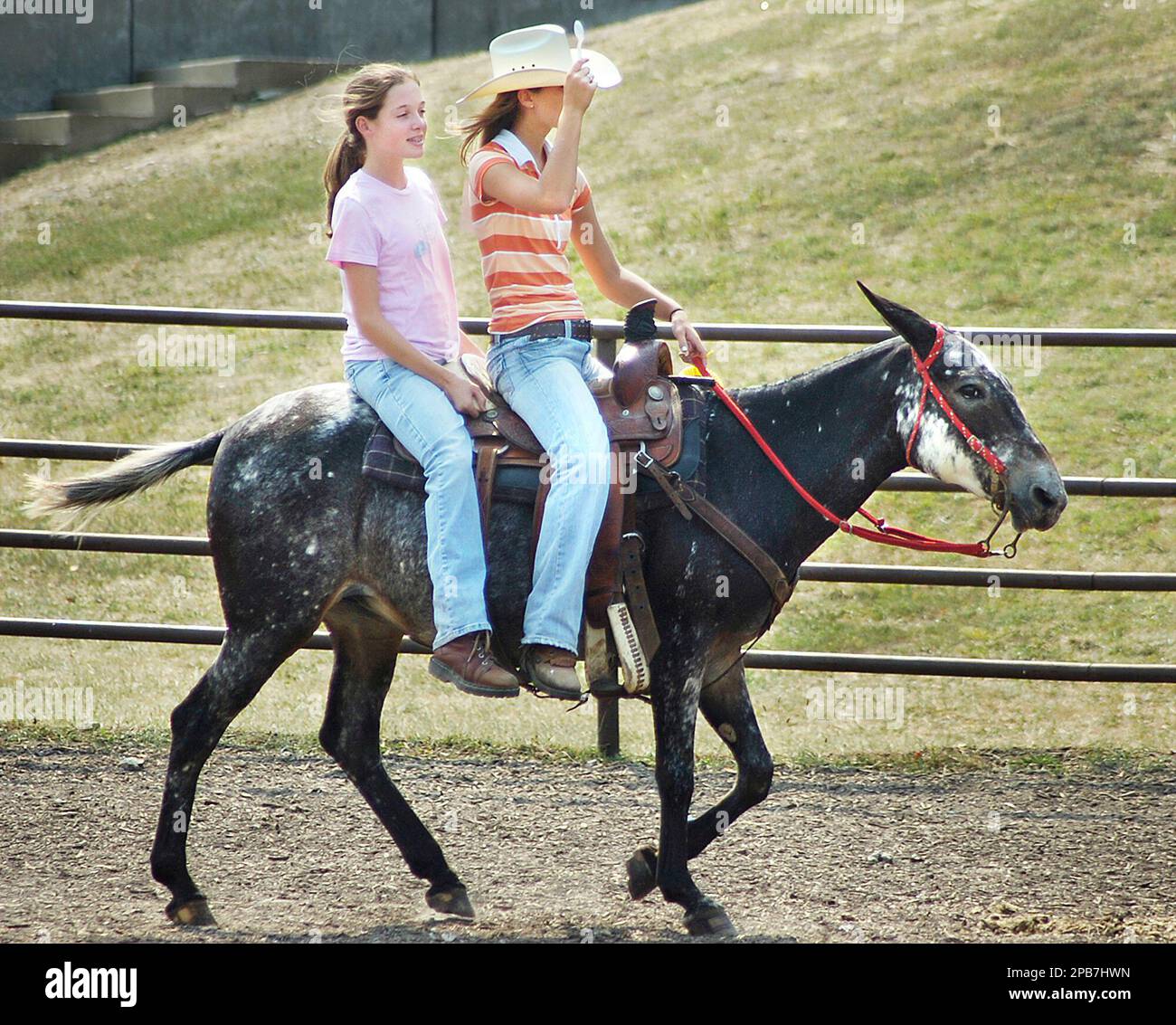 Abbie Coldiron, 14, of Dawn, Mo., right, gives her friend Shelbi Hoover,  14, of Tina, Mo., a ride on her mule Grasshopper while waiting to compete  in a mule riding event at