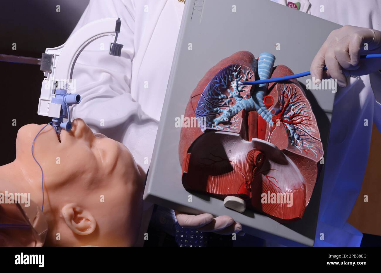 Ablation lung cancer hires stock photography and images Alamy