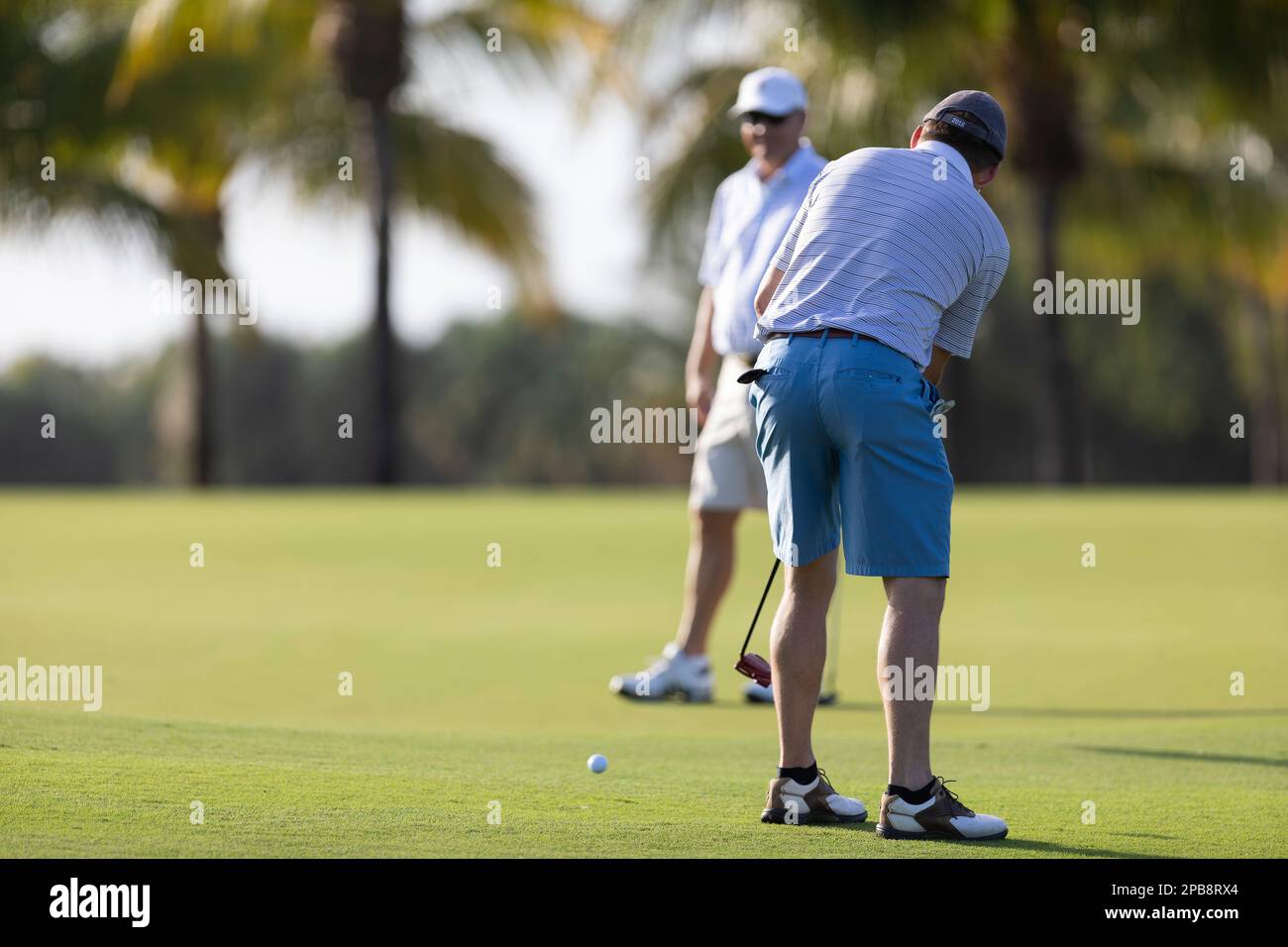 Men playing golf at Trump National Doral Golf Course Miami Florida Men playing golf at Trump National Doral Golf Course Miami Florida