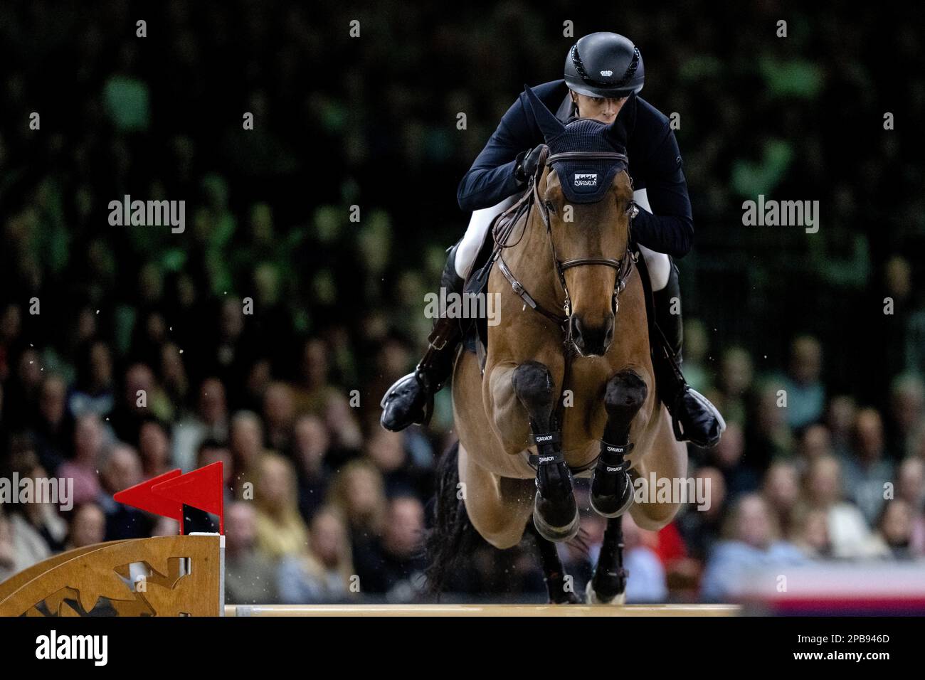 DEN BOSCH - Max Kuhner (AUT) on Elektric Blue P in action during the World Cup show jumping, during The Dutch Masters Indoor Brabant Horse Show. ANP SANDER KONING netherlands out - belgium out Stock Photo