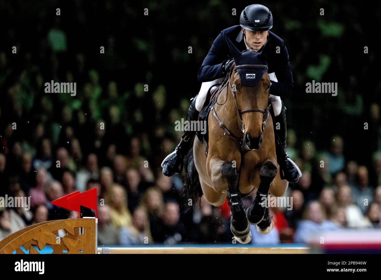 DEN BOSCH - Max Kuhner (AUT) on Elektric Blue P in action during the World Cup show jumping, during The Dutch Masters Indoor Brabant Horse Show. ANP SANDER KONING netherlands out - belgium out Stock Photo