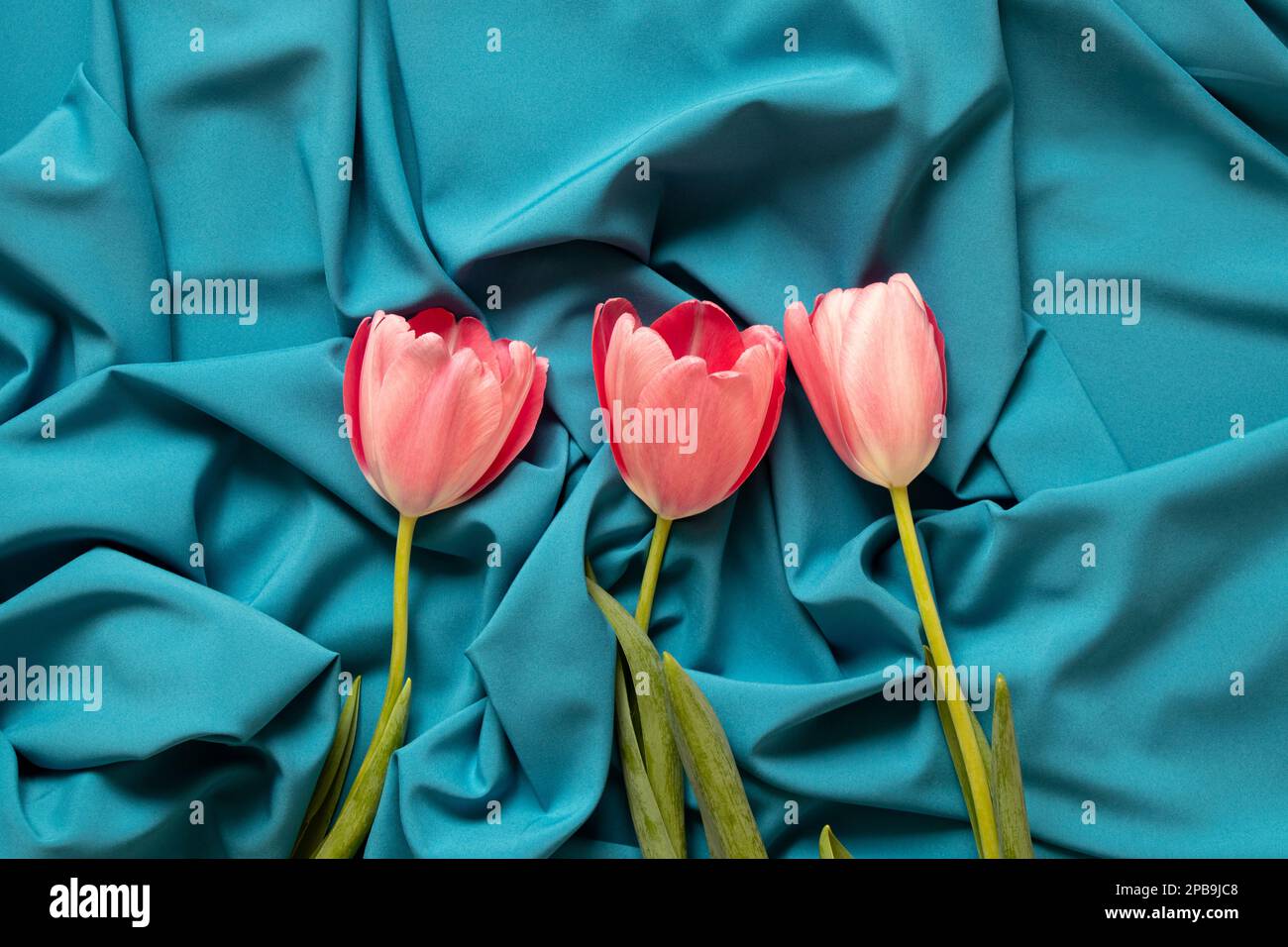 Fabric tulip hires stock photography and images Alamy