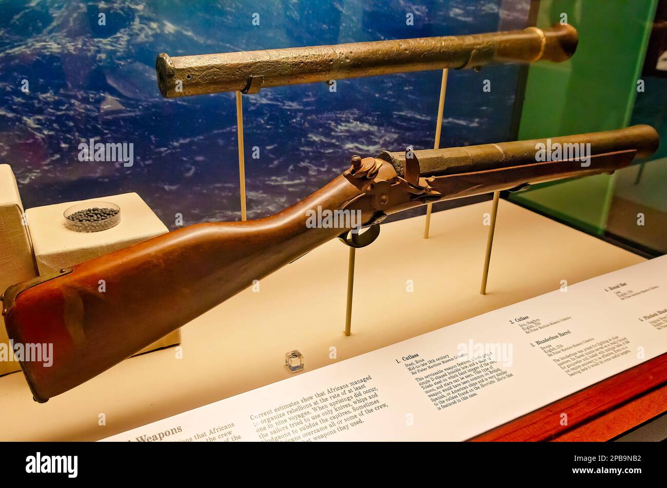 A blunderbuss barrel and a flintlock blunderbuss from the slave ship Henrietta Marie circa 1700 are displayed at GulfQuest Museum in Mobile, Alabama. Stock Photo