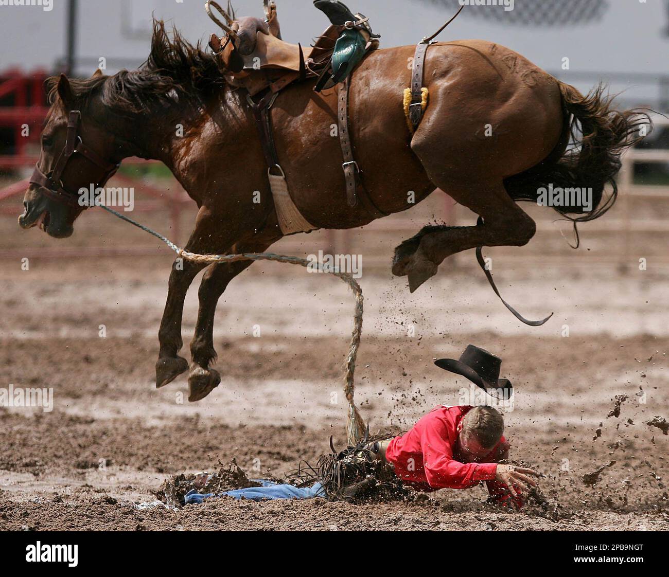 Jason Carter lands in mud after being bucked off a horse during the ...