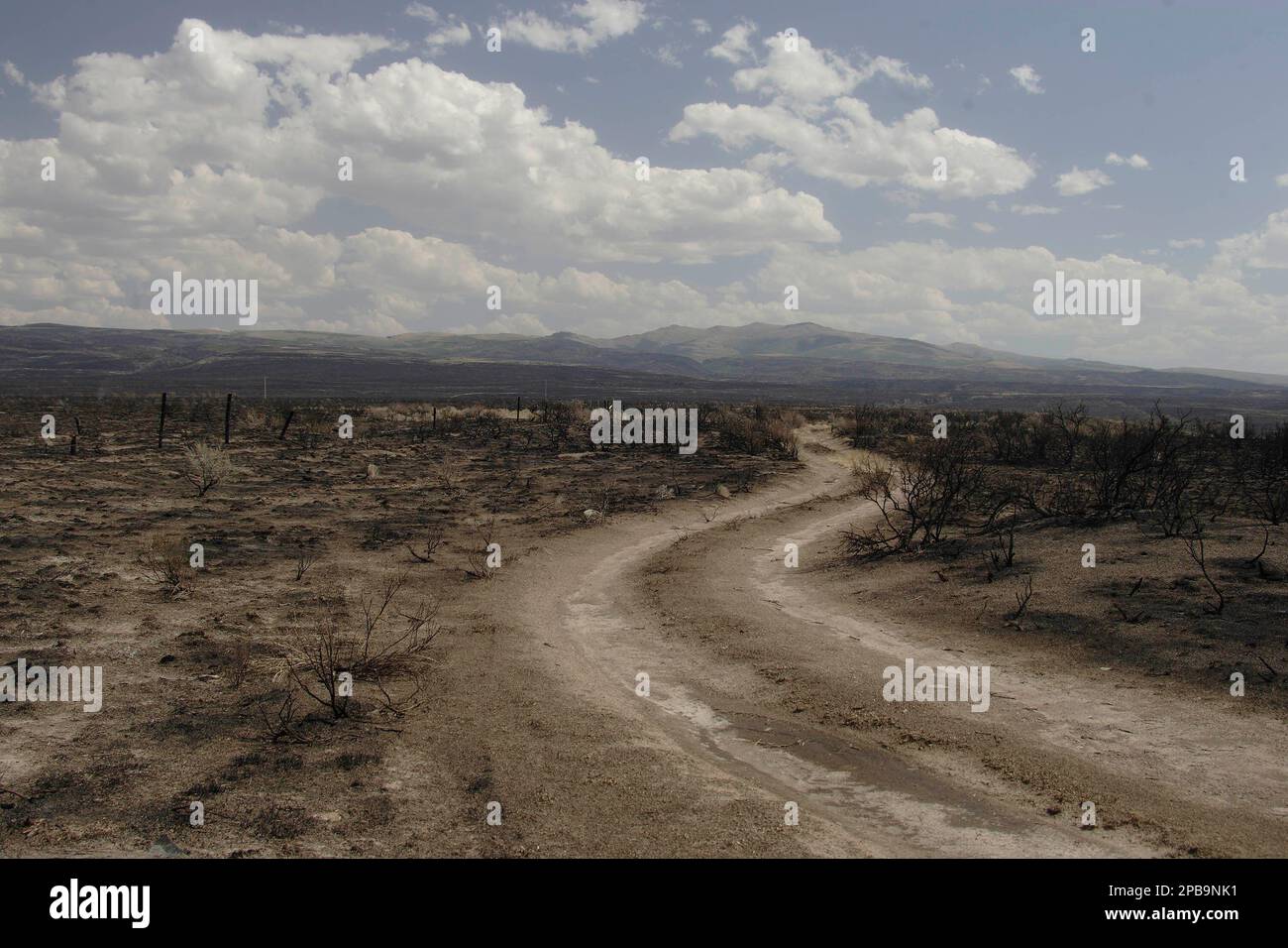 A dirt road leads south on the charred landscape of south central Idaho ...