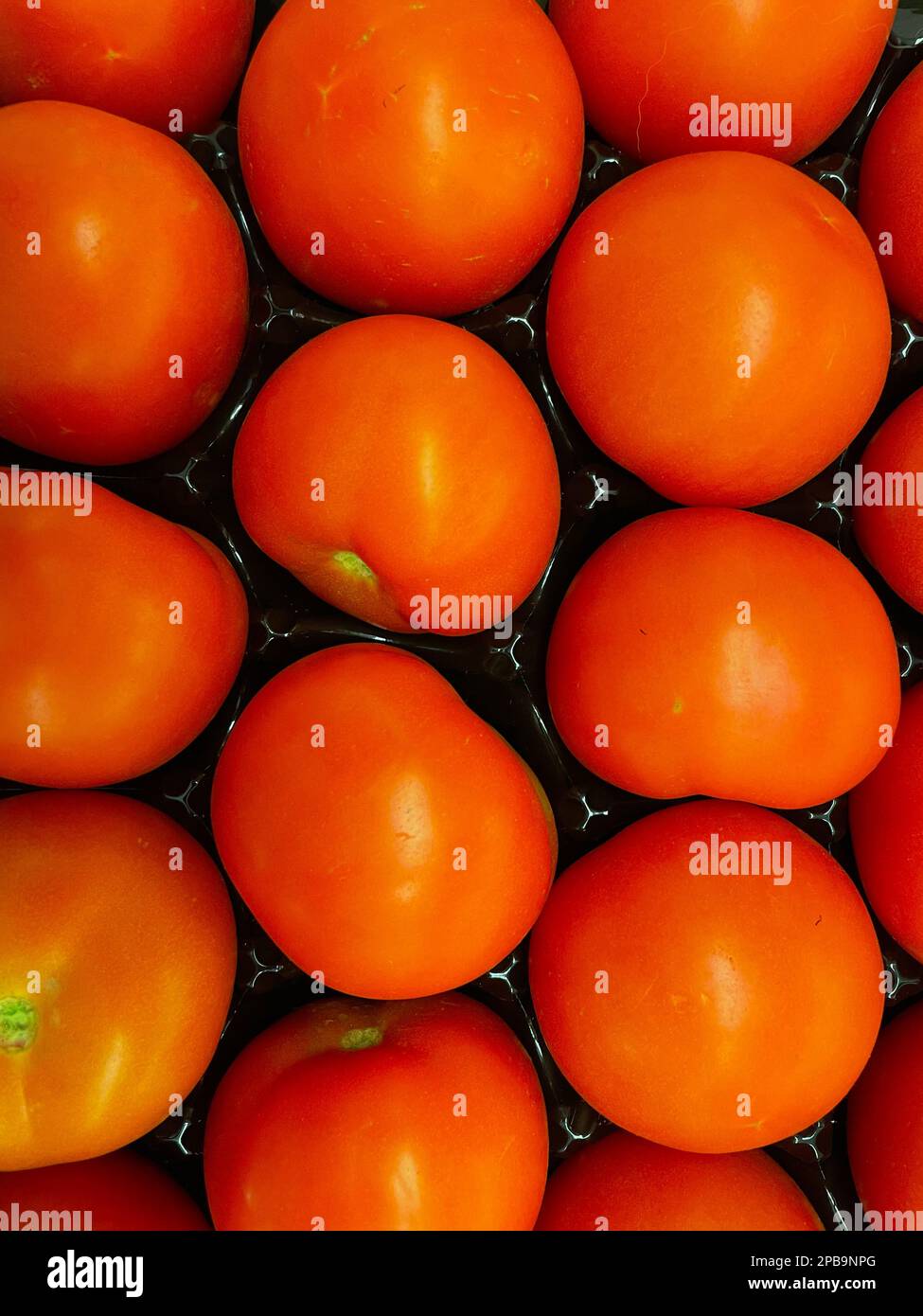 tomatoes.  The tomato is the edible berry of the plant Solanum lycopersicum, commonly known as the tomato plant. The species originated in weste Stock Photo