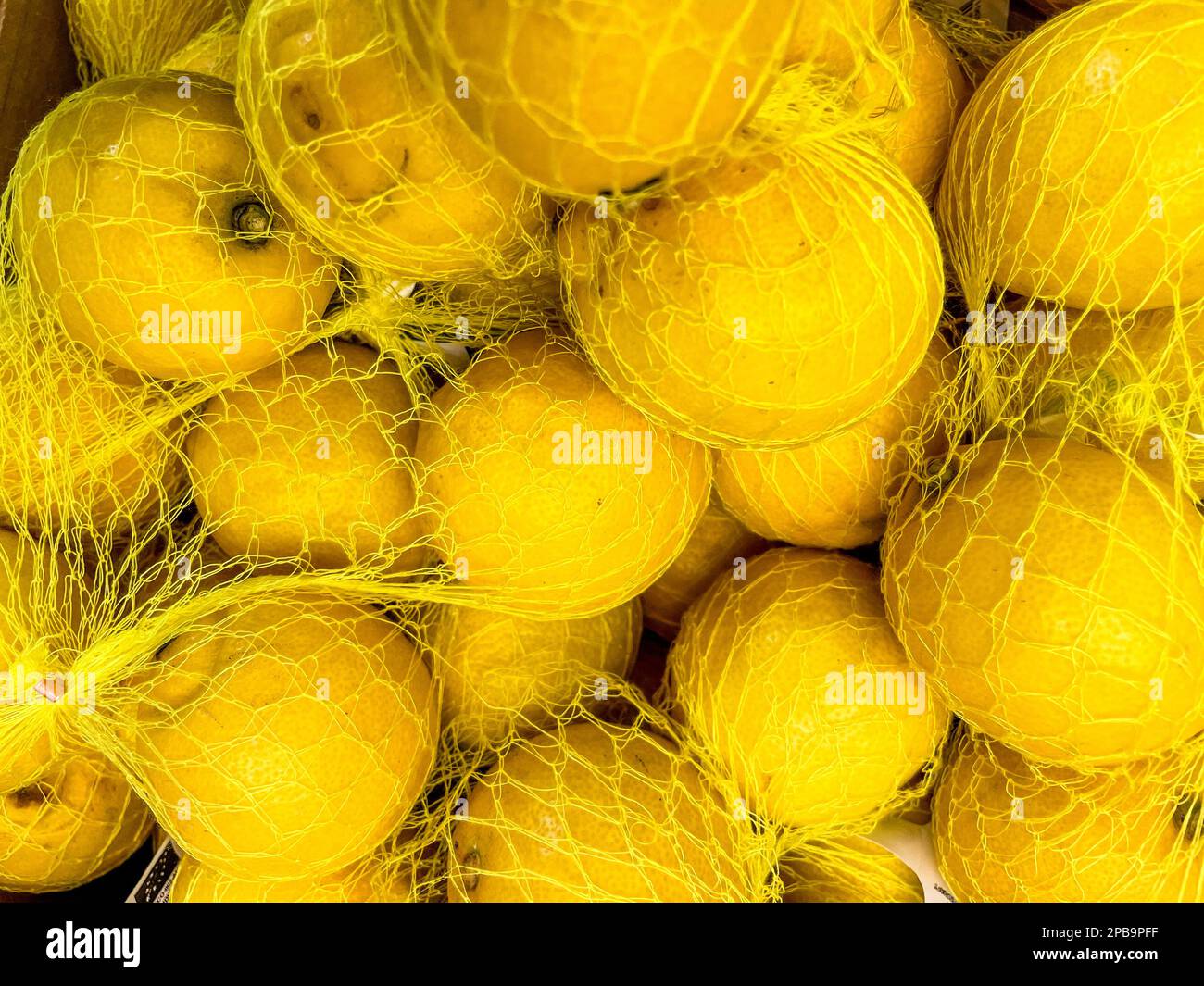 Lemon. The lemon (Citrus limon) is a species of small evergreen trees in the flowering plant family Rutaceae, native to Asia, primarily Northeast Indi Stock Photo