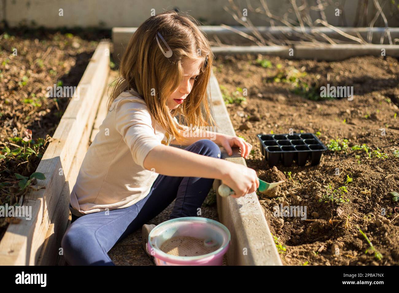 caucasian child girl gardening and preparing soil with a sieve using a shovel. Environmental education idea. Stock Photo