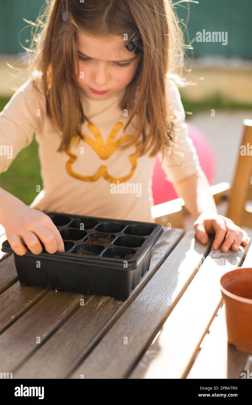 caucasian child girl gardening and planting seeds in seedbed. Vertical