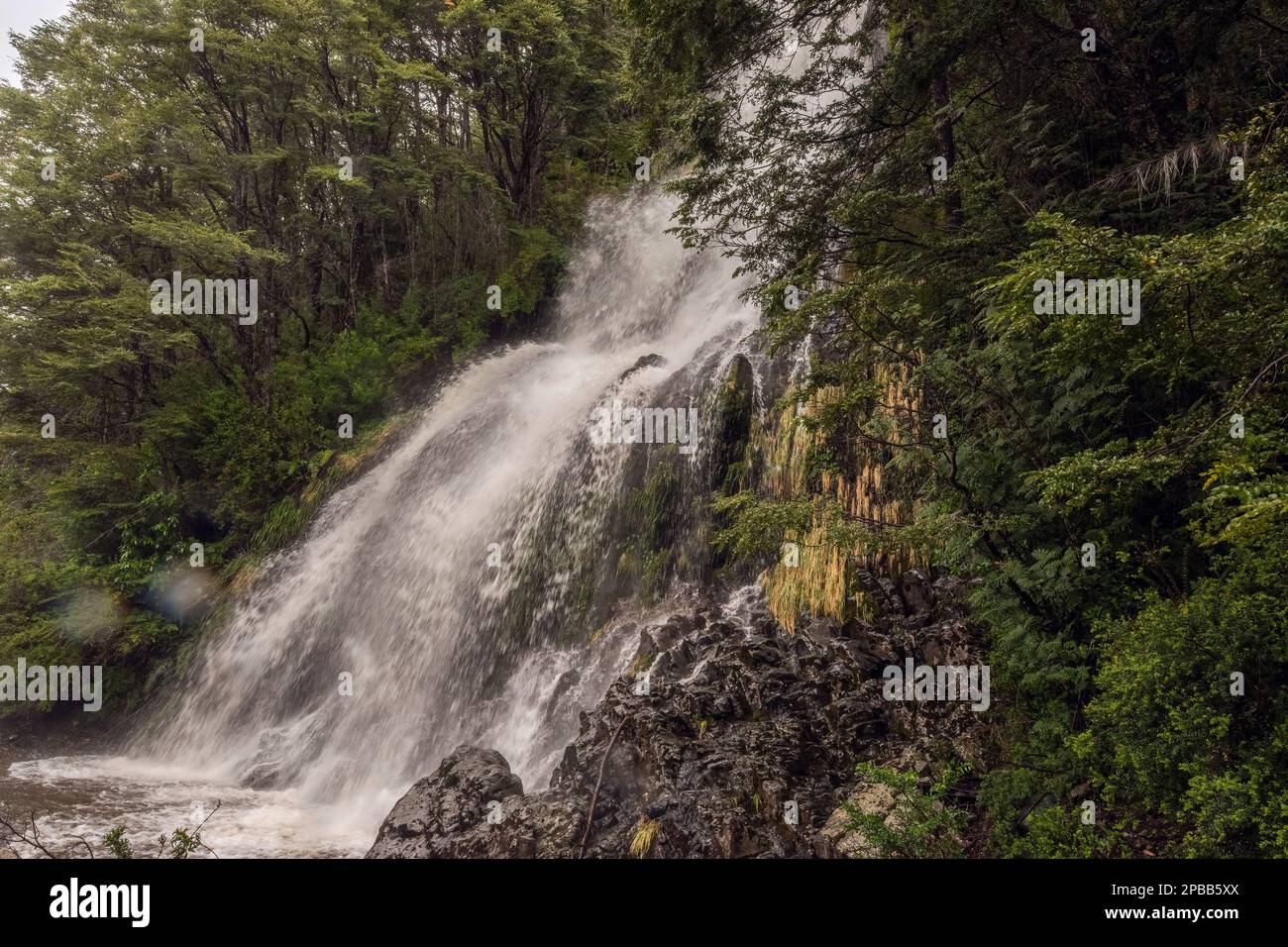 Waterfall in the forest near the Carretera Austral south of Cochrane, Patagonia Stock Photo