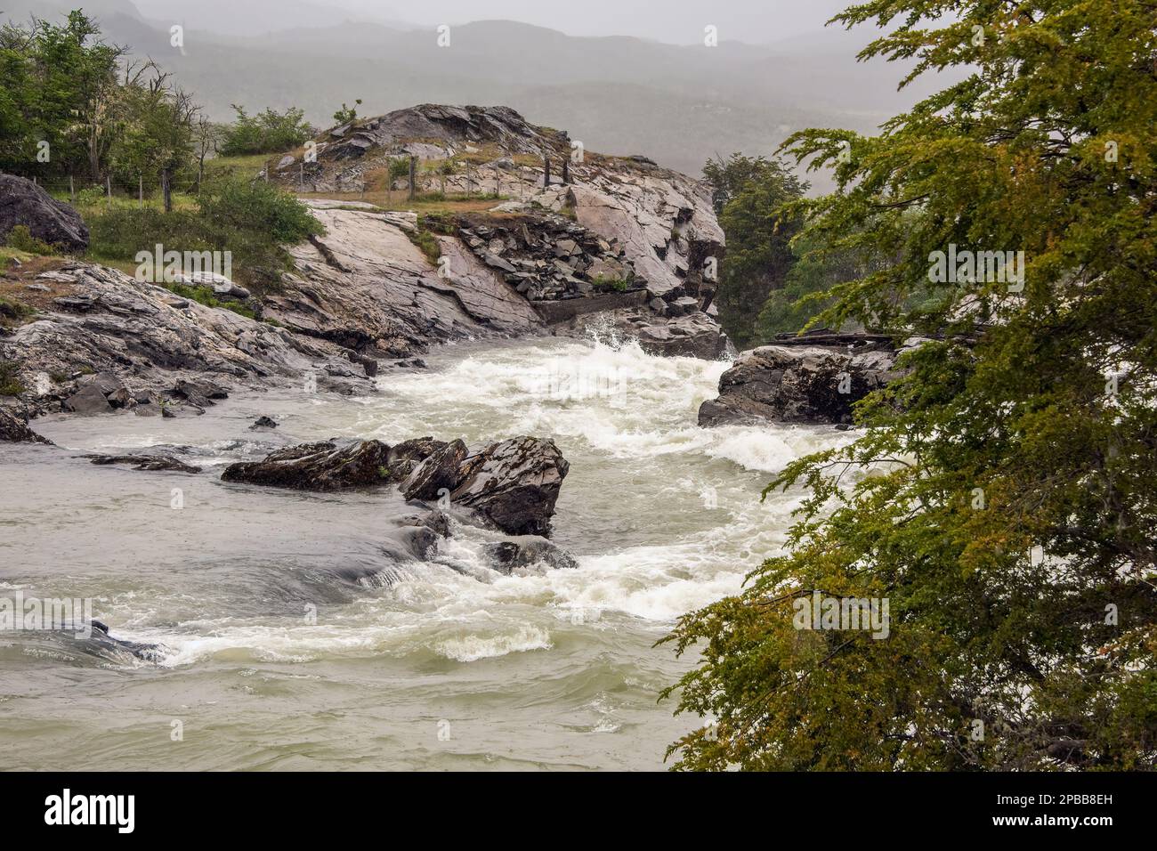 Rio del Salto rapids on a rainy day, Carretera Austral, Patagonia, Chile Stock Photo