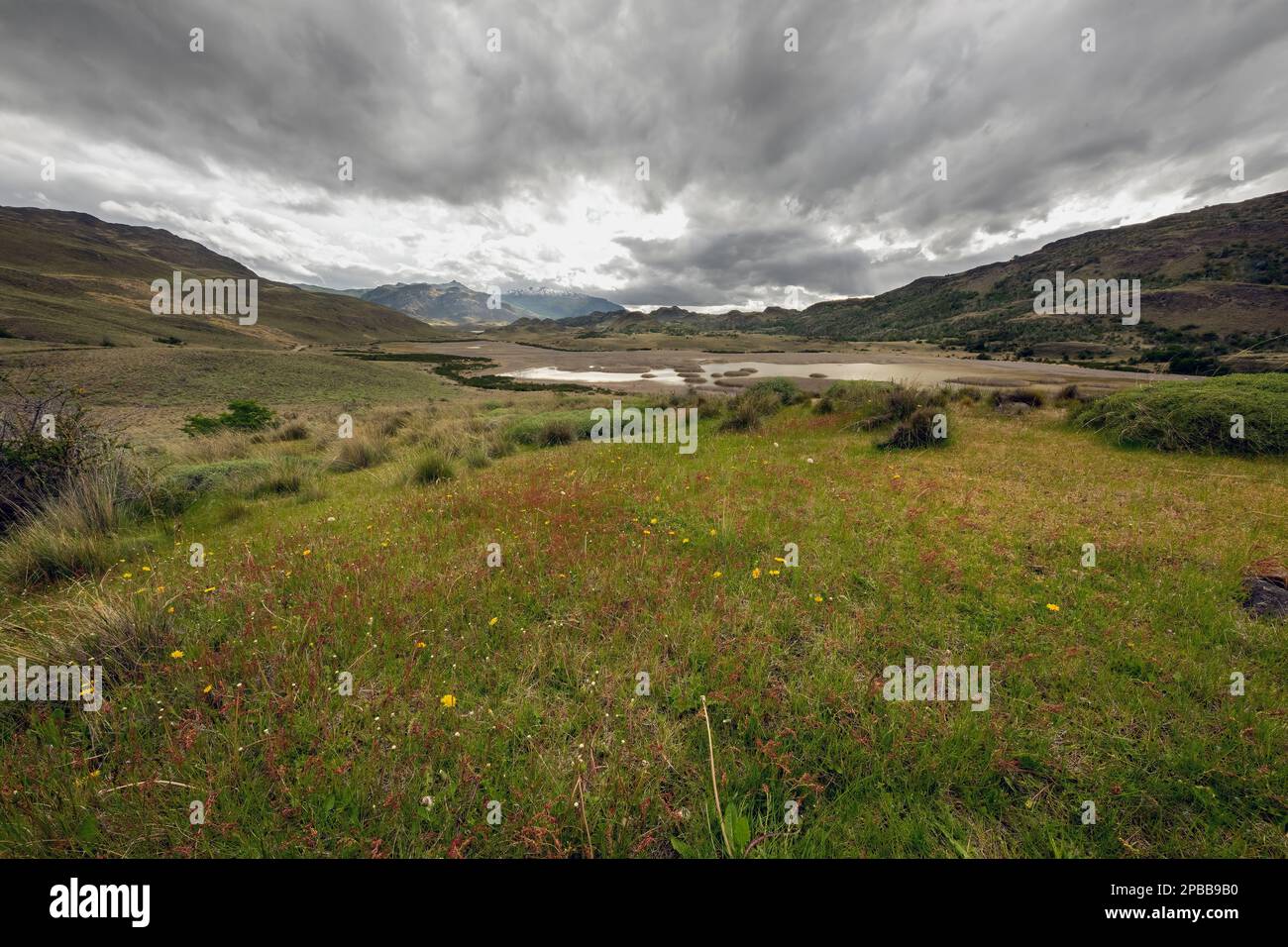 Valle Chacabuco above Estero Portezuelo with storm clouds and spring wildflowers, Patagonia Stock Photo