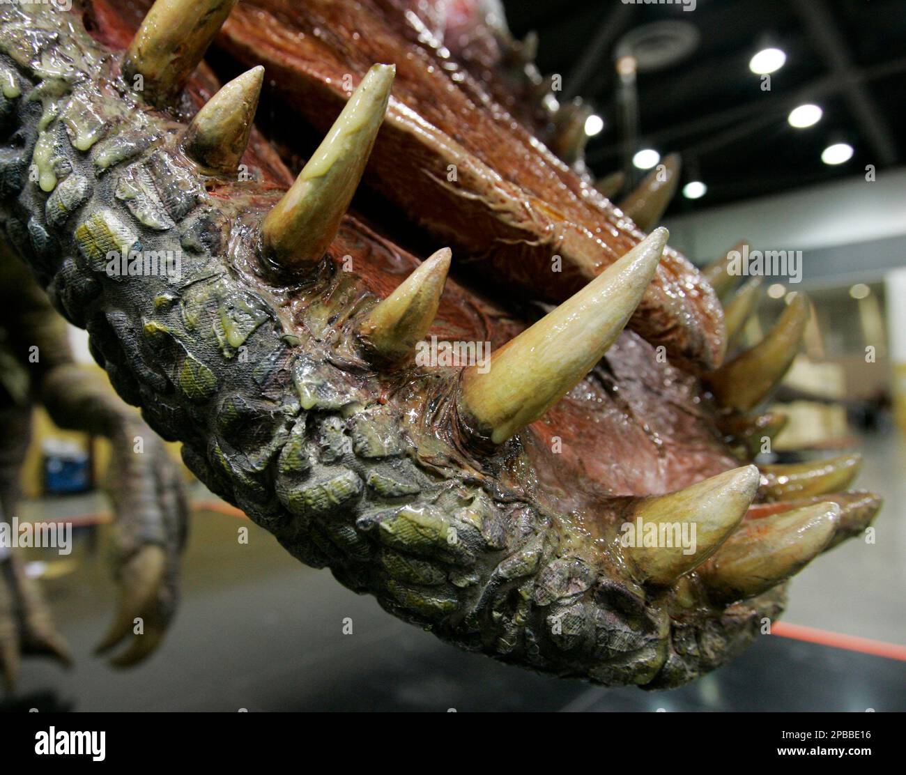 A closeup of the teeth of one of the dinosaurs used in the "Walking