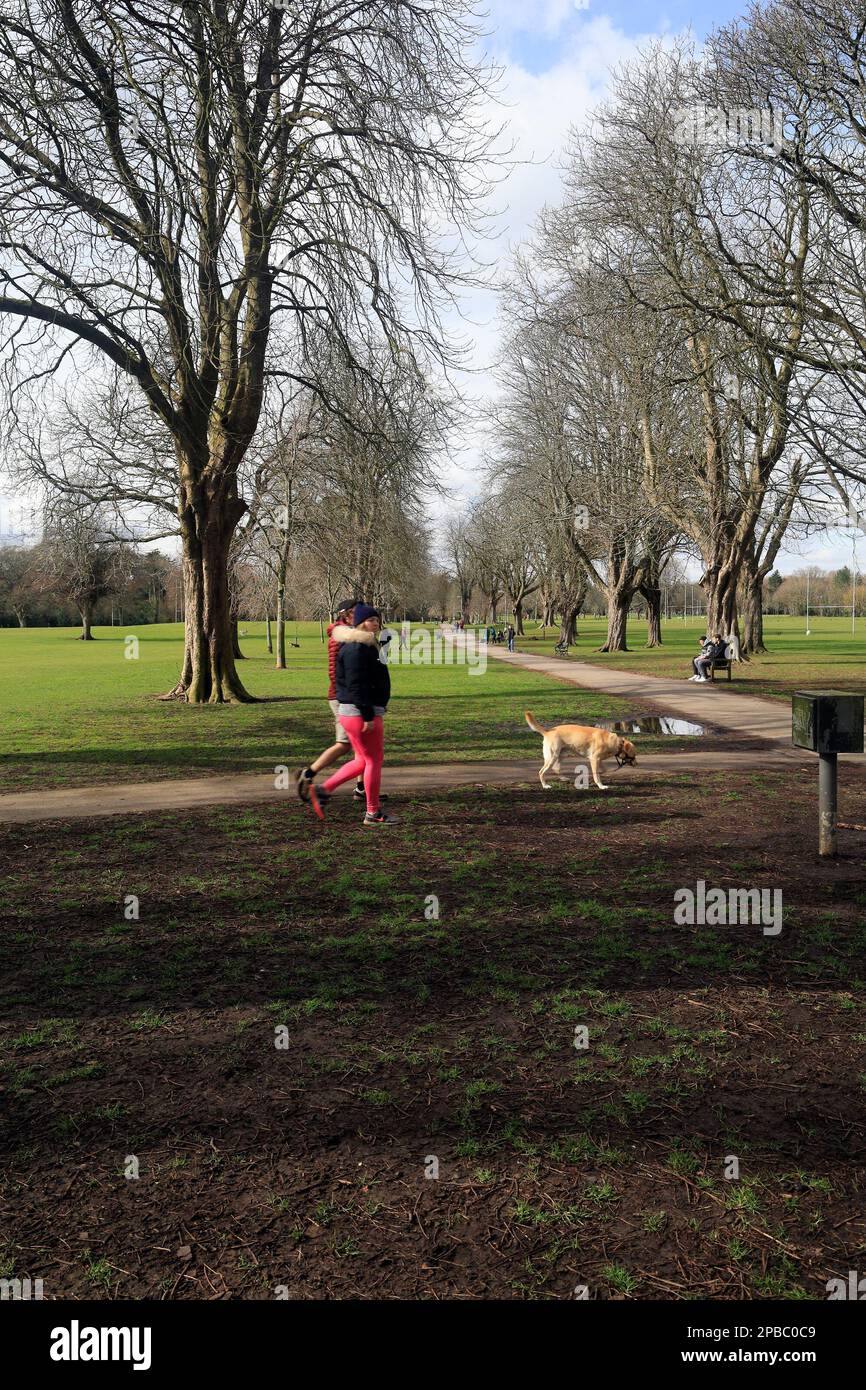Llandaff Fields. Taken March 2023. cym Stock Photo Alamy