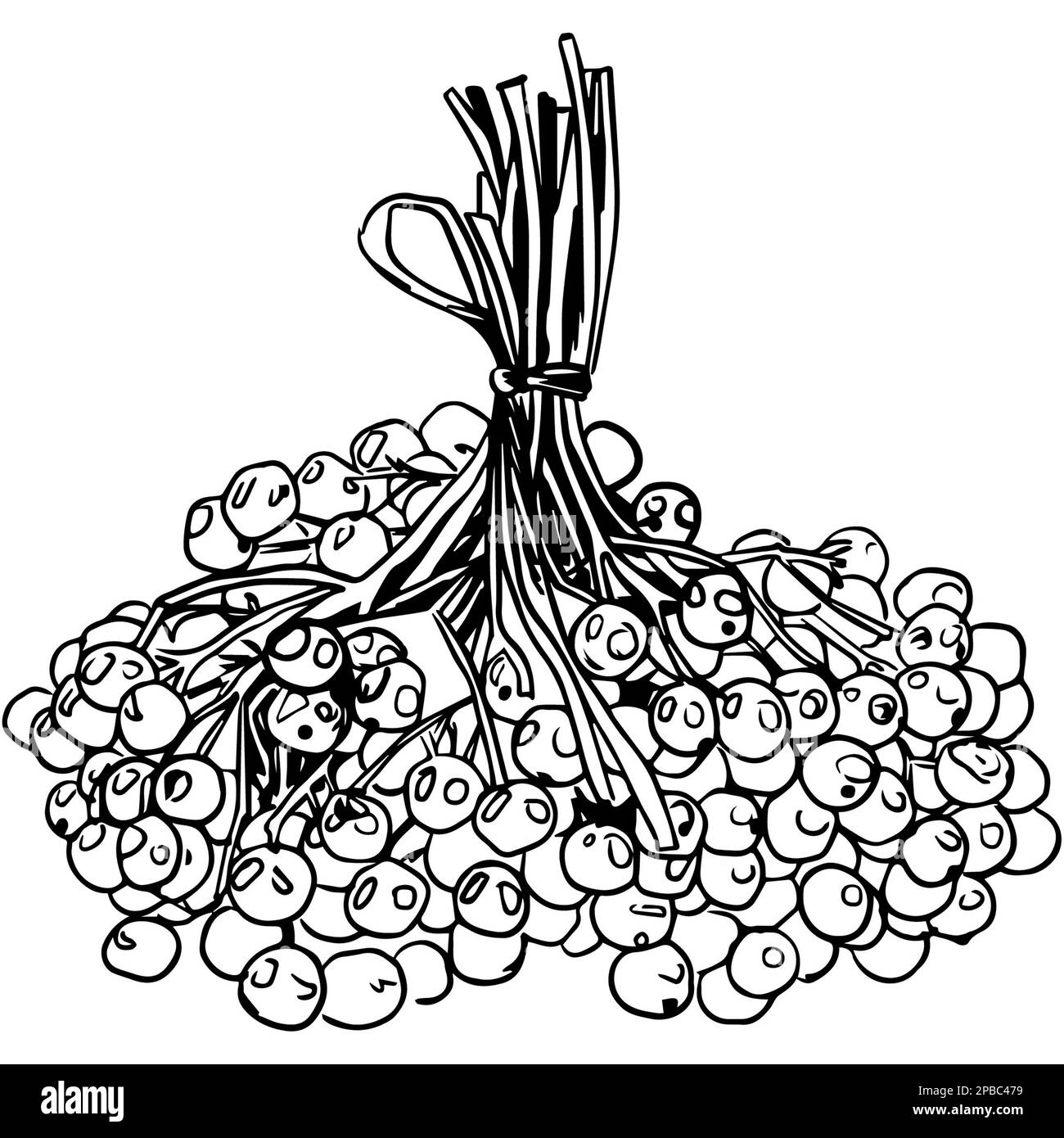 plant-art-pack-stock-photo-alamy