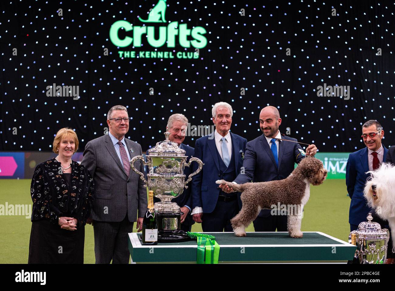 Crufts23 hires stock photography and images Alamy