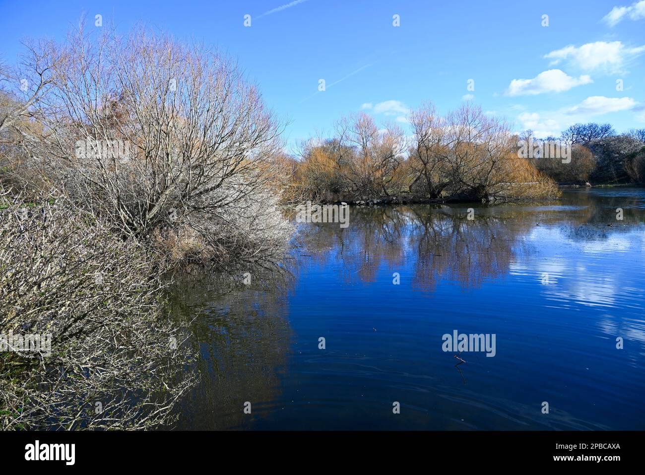 Figgate Park Portobello Edinburgh Stock Photo Alamy