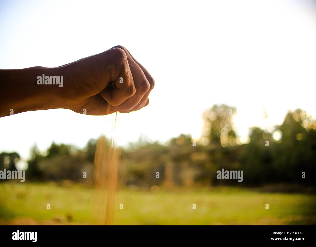 A fist of the hand throwing dirt Stock Photo Alamy