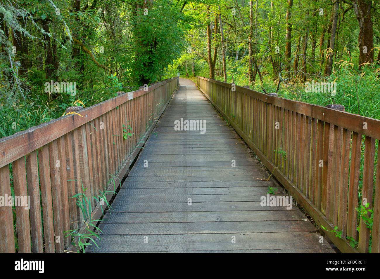 Trail bridge, MintoBrown Island Park, Salem, Oregon Stock Photo Alamy