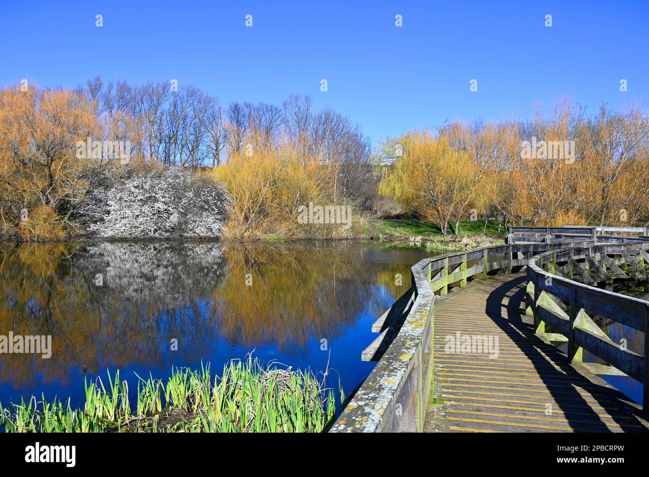 Figgate Park Portobello Edinburgh Stock Photo Alamy Figgate Park Portobello Edinburgh Stock Photo Alamy
