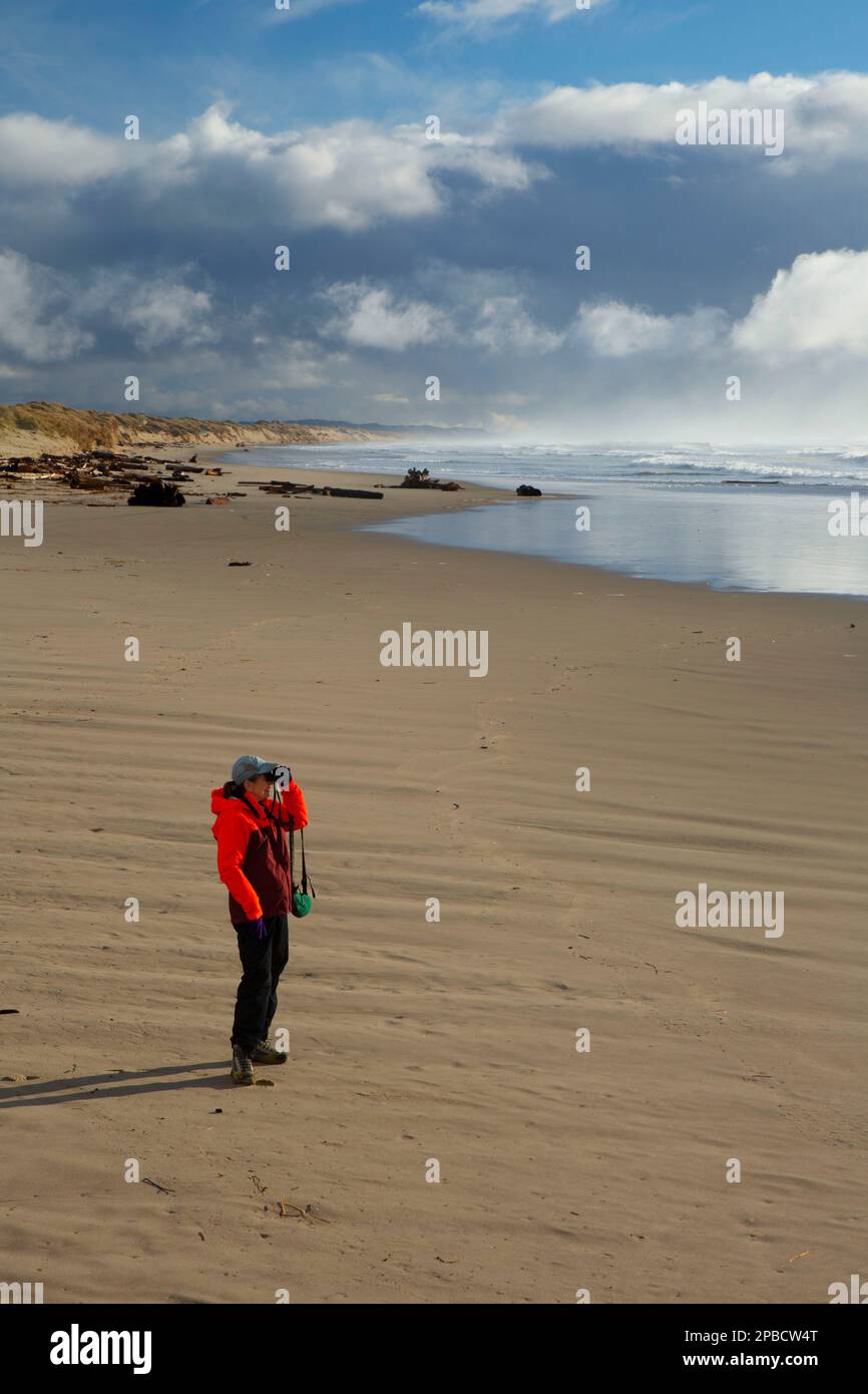 South Jetty Beach, Oregon Dunes National Recreation Area, Siuslaw 