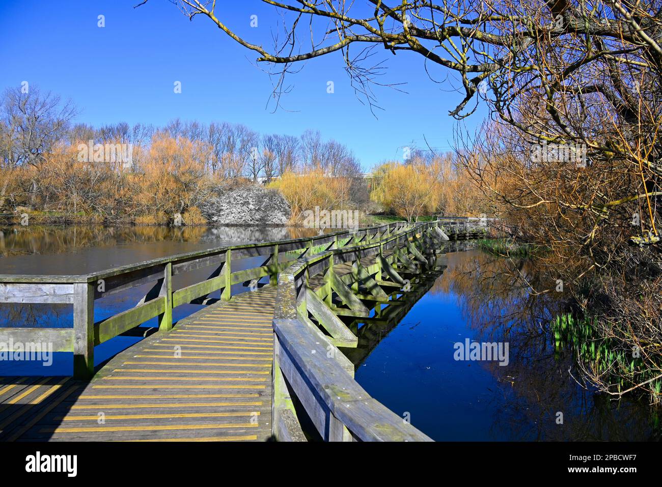 Figgate Park Portobello Edinburgh Stock Photo Alamy Figgate Park Portobello Edinburgh Stock Photo Alamy