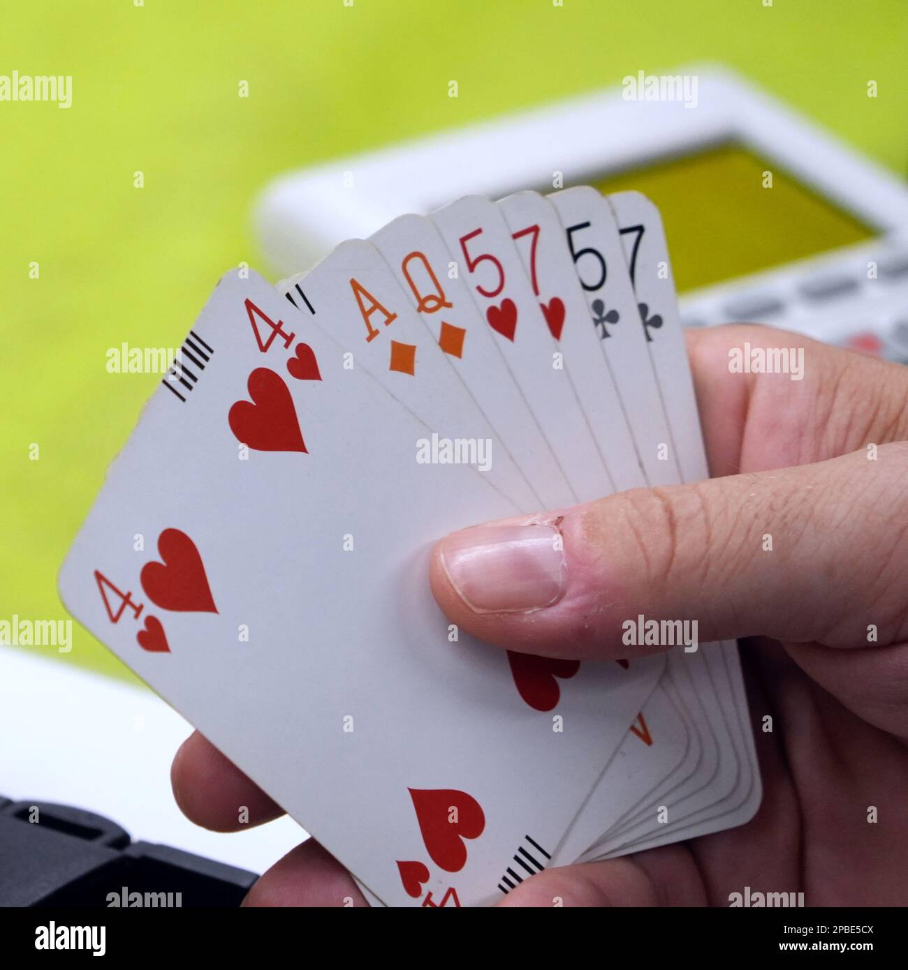 Playing cards in a man's hand during a bridge game Stock Photo - Alamy