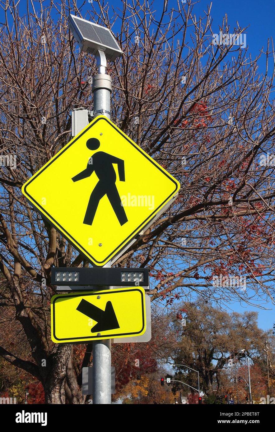 pedestrian cross walk sign  and solar panel powered lights in California Stock Photo