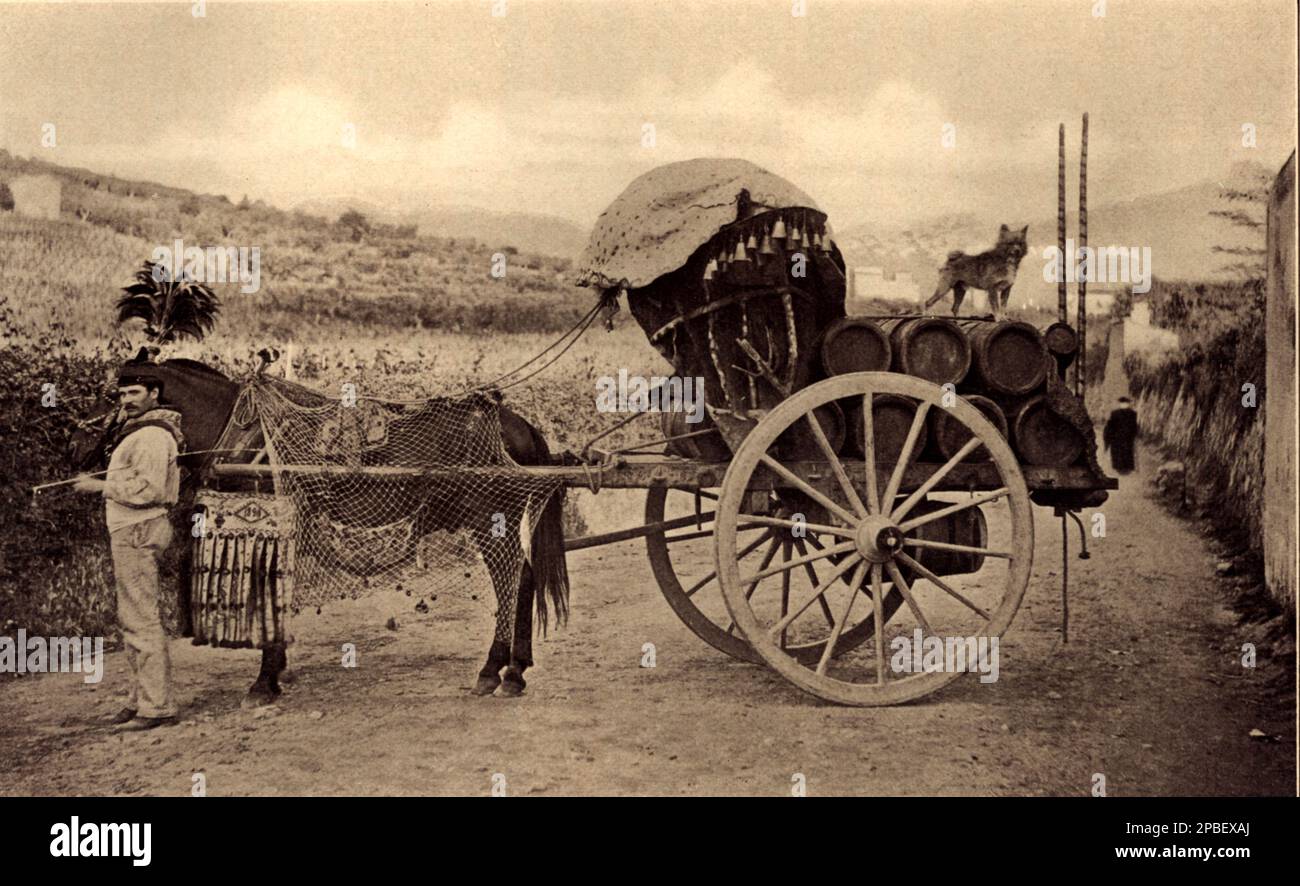 1903 ca, near Roma , Lazio , Italy  : A wine cart of the CASTELLI ROMANI  - Rome - FOTO STORICHE - HISTORY PHOTOS - carro - carretto - VINO ITALIANO - VINI ITALIANI - cavallo - horse - cane - dog - carrettiere - FOLKLORE -     - botte - botti - GEOGRAFIA - GEOGRAPHY -    ----  Archivio GBB Stock Photo