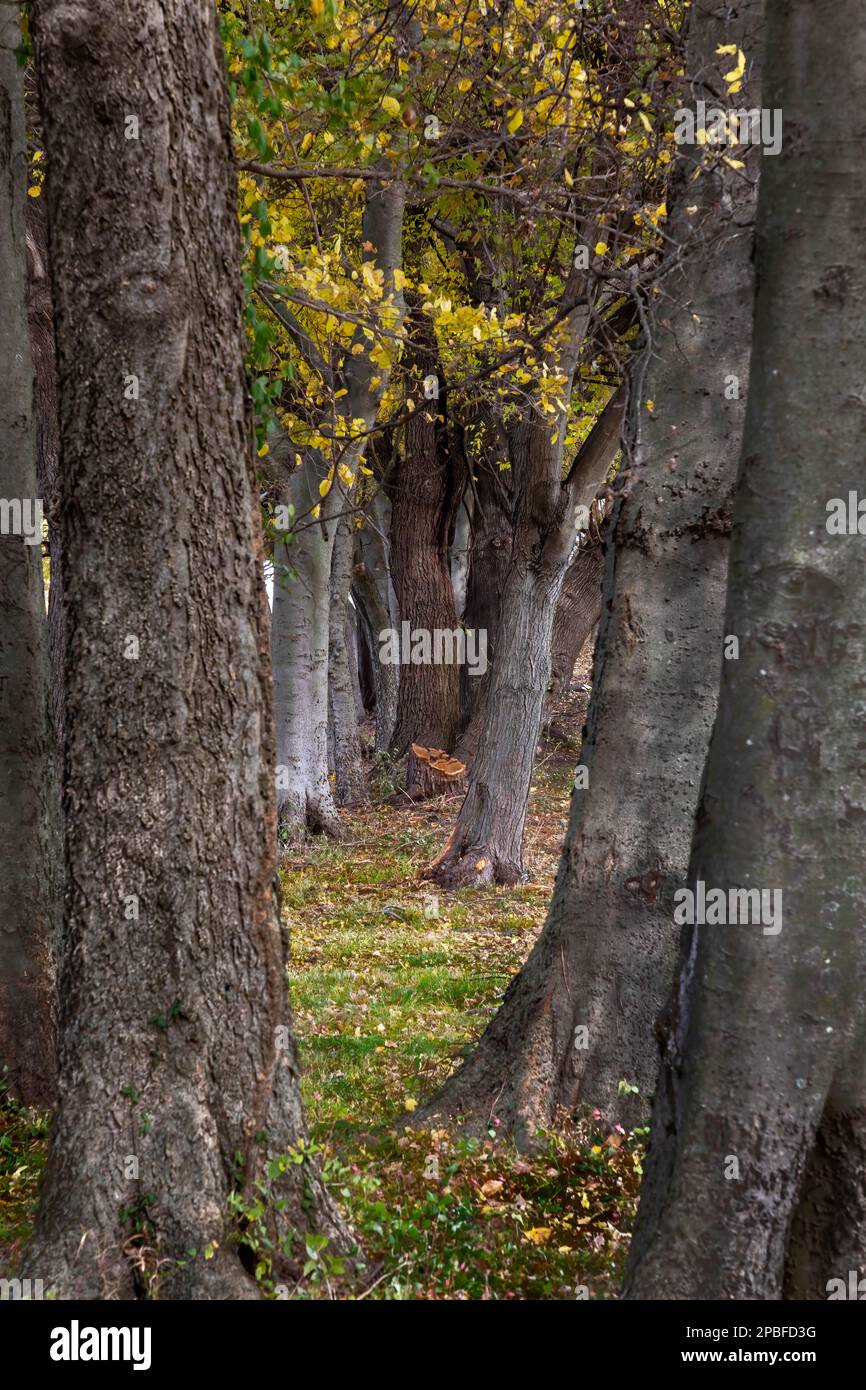 Look of wonder hi-res stock photography and images - Alamy