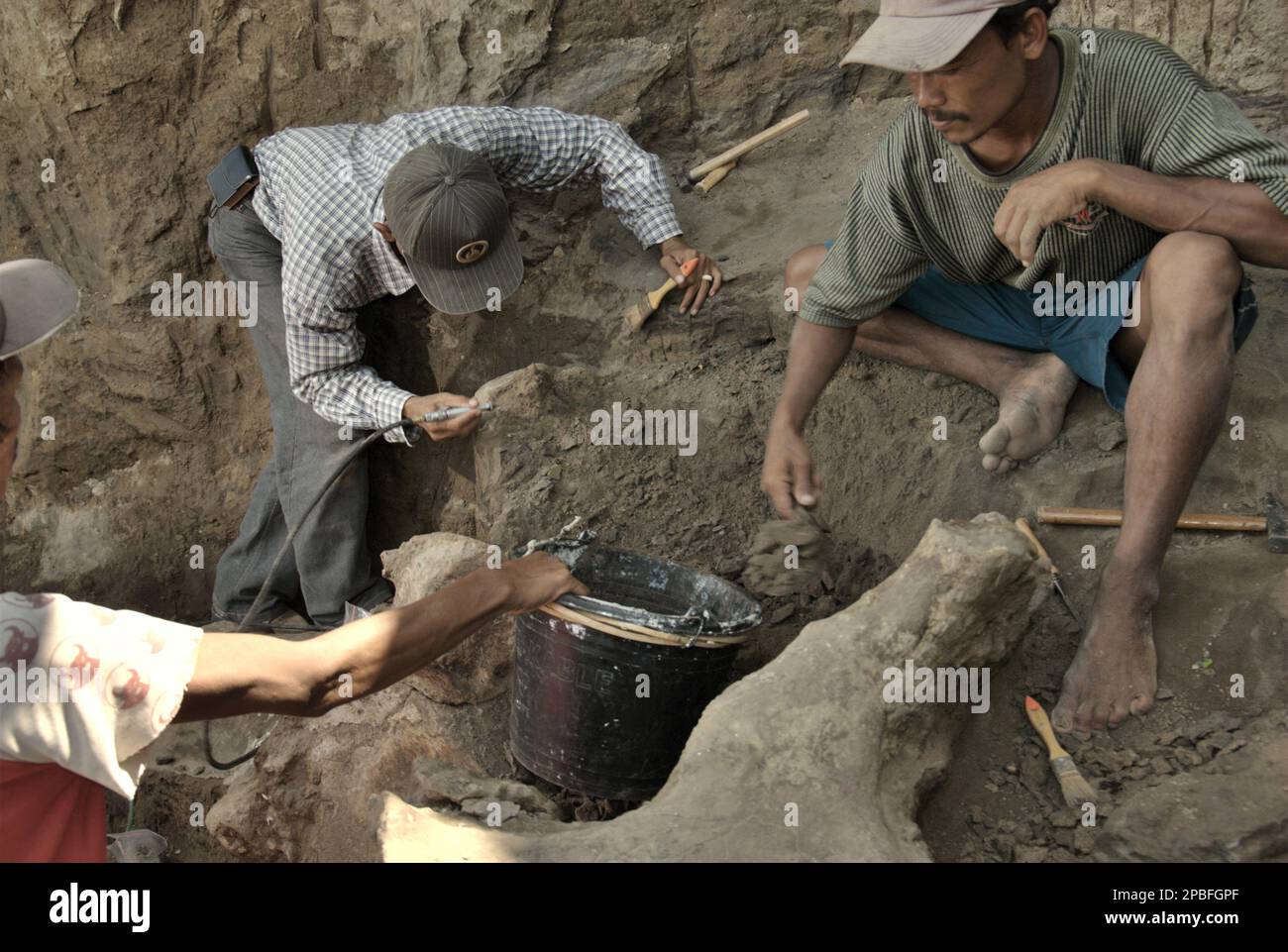 Paleontologist Iwan Kurniawan (centered) is working with villagers on the excavation of fossilized bones of an extinct elephant species scientifically identified as Elephas hysudrindicus, or popularly called 'Blora elephant', in Sunggun, Mendalem, Kradenan, Blora, Central Java, Indonesia. The team of scientists from Vertebrate Research (Geological Agency, Indonesian Ministry of Energy and Mineral Resources) led by Kurniawan himself with Fachroel Aziz discovered the species' bones almost entirely (around 90 percent complete) that later would allow them to build a scientific reconstruction,... Stock Photo