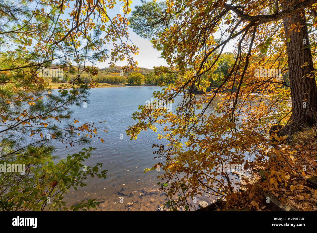 The Saint Croix River passes through colorful autumn foliage in Minnesota and Wisconsin Stock Photo