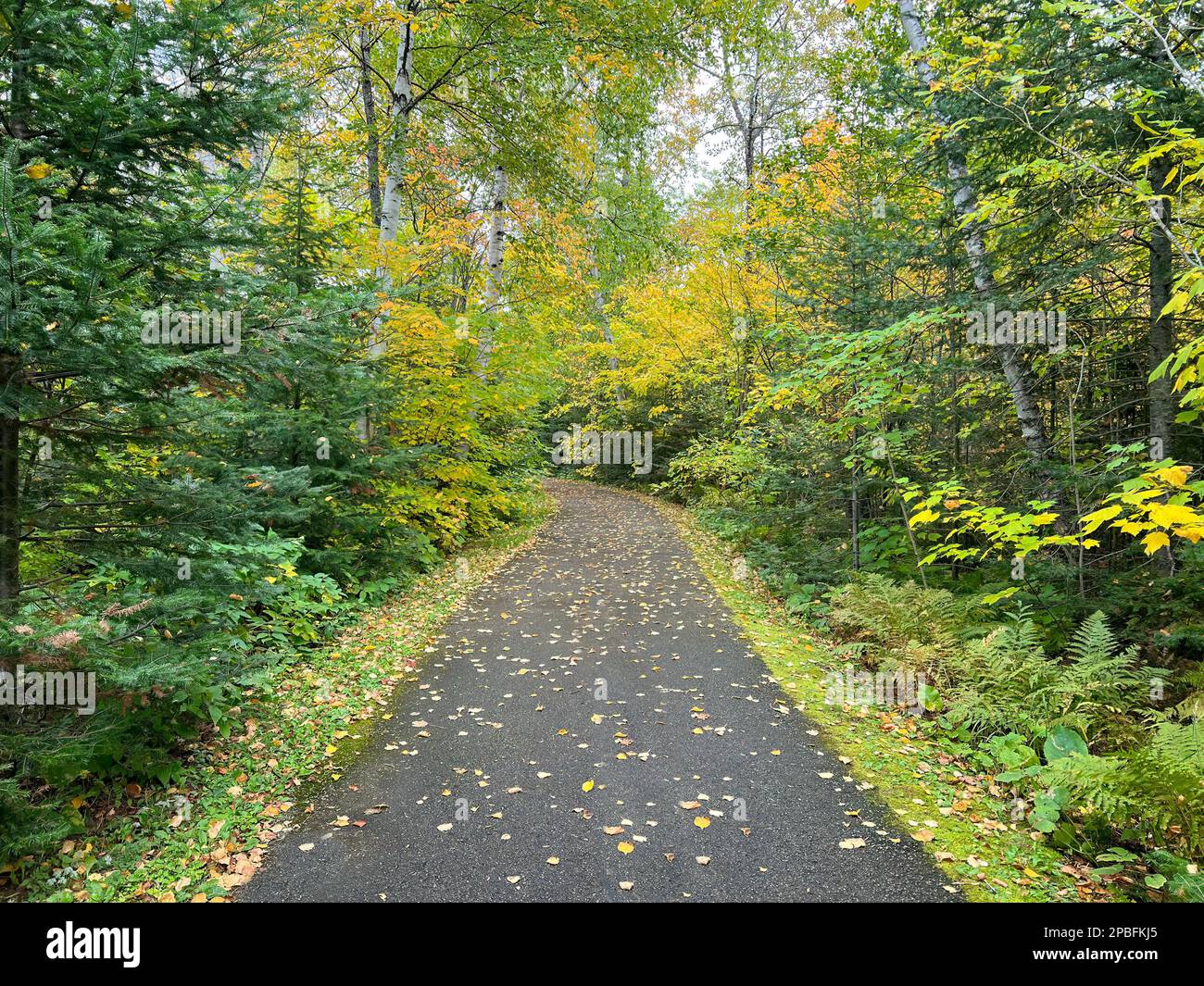 Wheelchair accessible path hi res stock photography and images Alamy