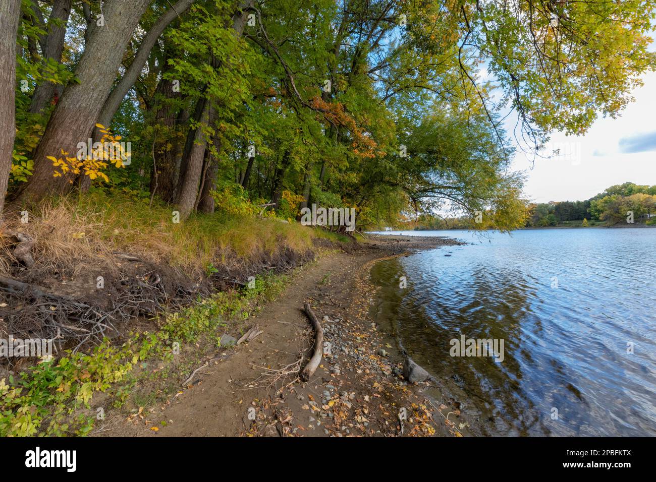 Fall colors on the Mississippi River near Minneapolis showing climate change effects of lower river levels Stock Photo