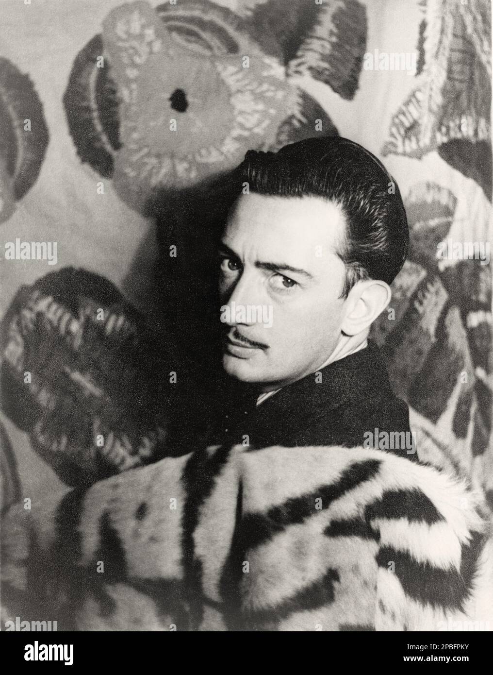 1939 , 29 november , New York , USA : The  most celebrated  surrealist spanish  painter and movie director SALVADOR DALI' ( born Salvador Domingo Jacinto Dalì Domenech , marquis de Pubol , 1904 – 198)  . Photo by CARL VAN VECHTEN ( 1880  -  1964 )  - Dalì - VISUAL ARTS - ARTI VISIVE  - ART - ARTE - PITTURA - painting - PITTORE - artist - artista - portrait - ritratto  - baffi - moustache - SCENOGRAFIA - SCENOGRAFO - DESIGN - ARREDAMENTO - ARREDATORE - SURREALISMO - SURREALISME - tiger  fur - pelliccia  tigrata - tigre - SURREALISTA ---- NOT FOR ADVERTISING USE --- NON PER USO PUBBLICITARIO --- Stock Photo