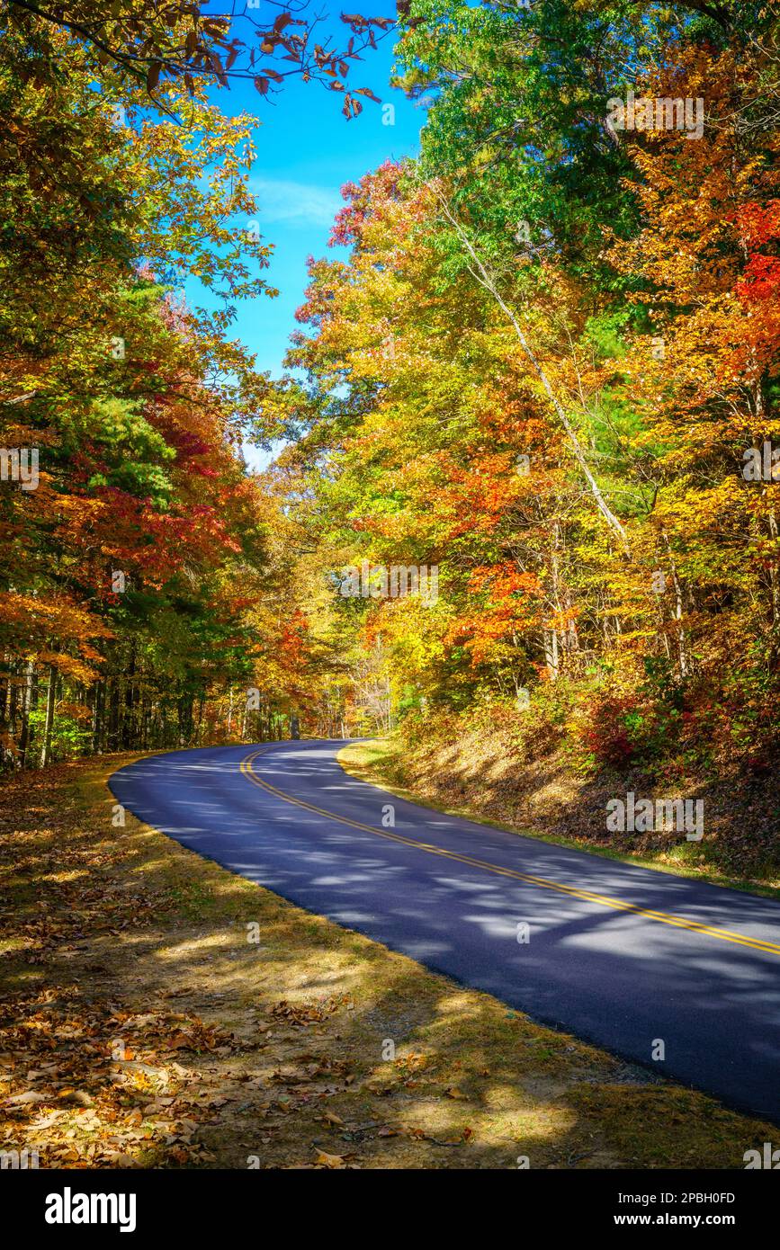 Blue Ridge Parkway winding through the woods in fall near Asheville, North Carolina Stock Photo