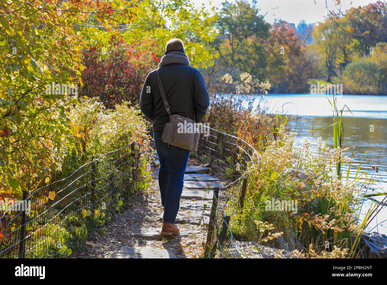 Handsome man walking through the park in fall during autumn colors foliage Stock Photo